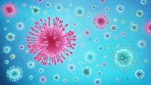 Concord School District Corona Virus Plan